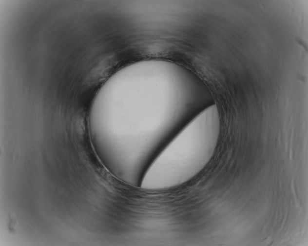 X0000097820746200803140805