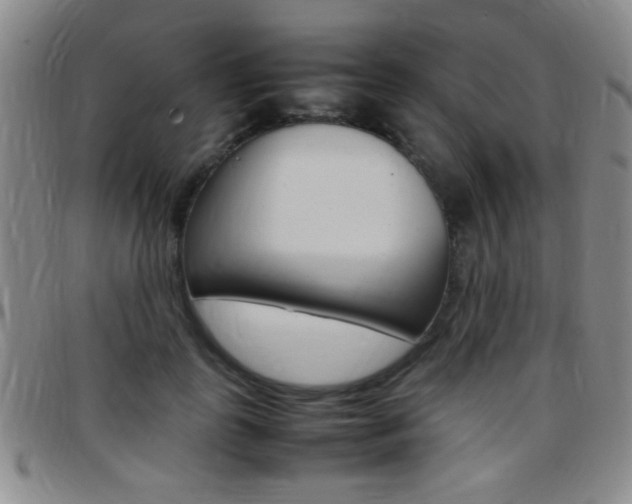 X0000097820747200803140805