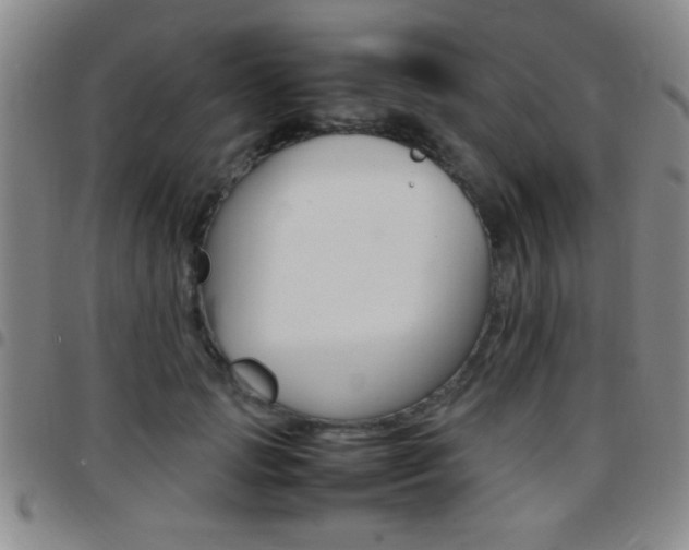 X0000097820749200803140805