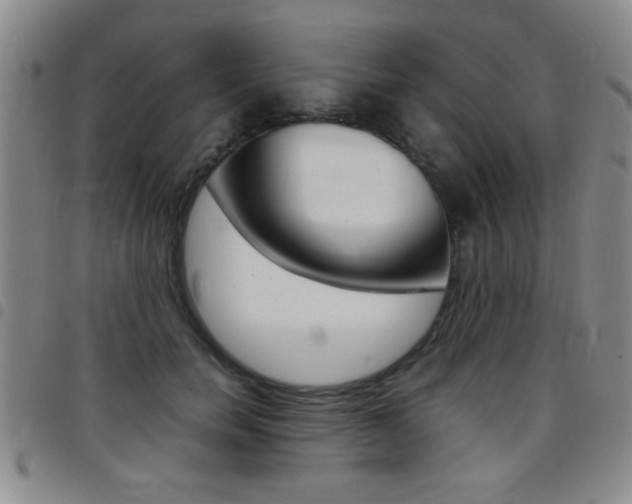 X0000097820750200803140805