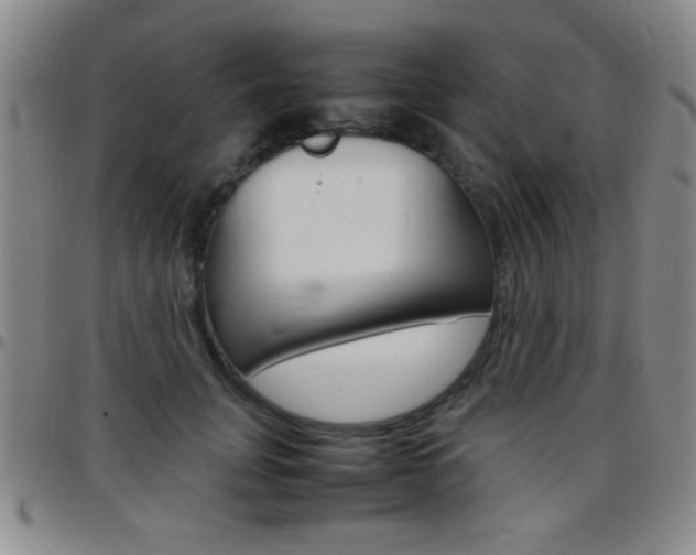 X0000097820751200803140805