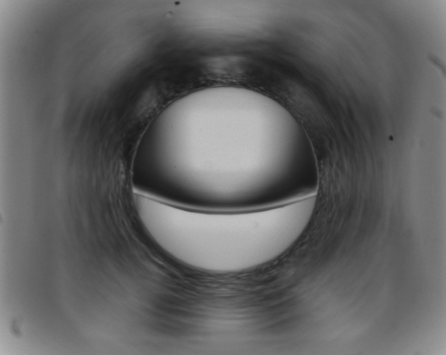 X0000097820752200803140805