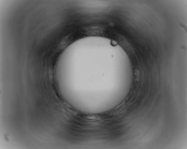 X0000097820753200803140805