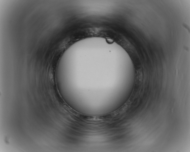 X0000097820754200803140805