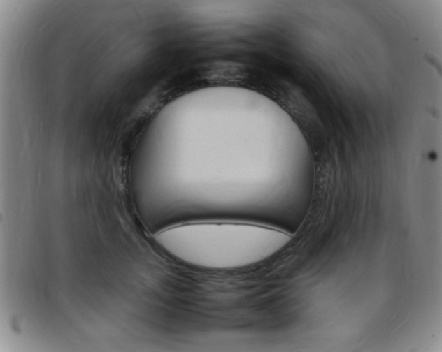 X0000097820755200803140805