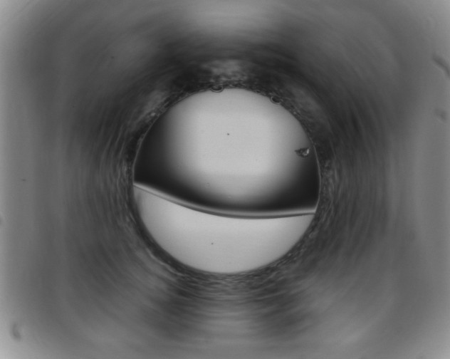 X0000097820756200803140805