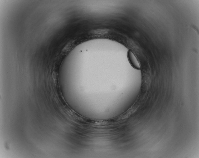 X0000097820758200803140805