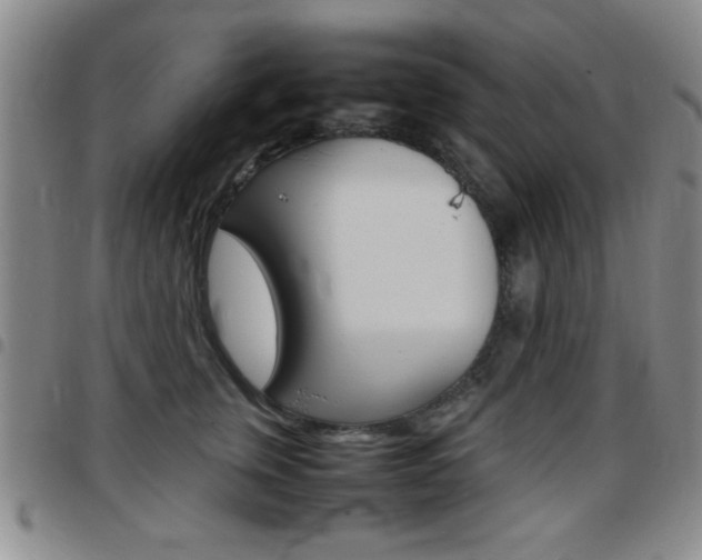X0000097820759200803140805