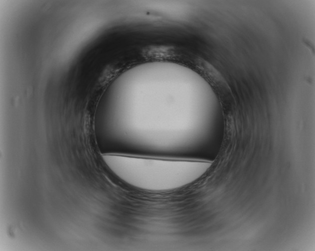X0000097820760200803140805