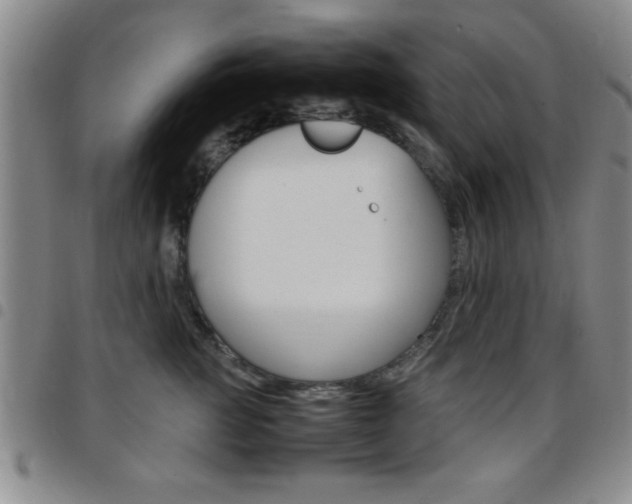 X0000097820761200803140805