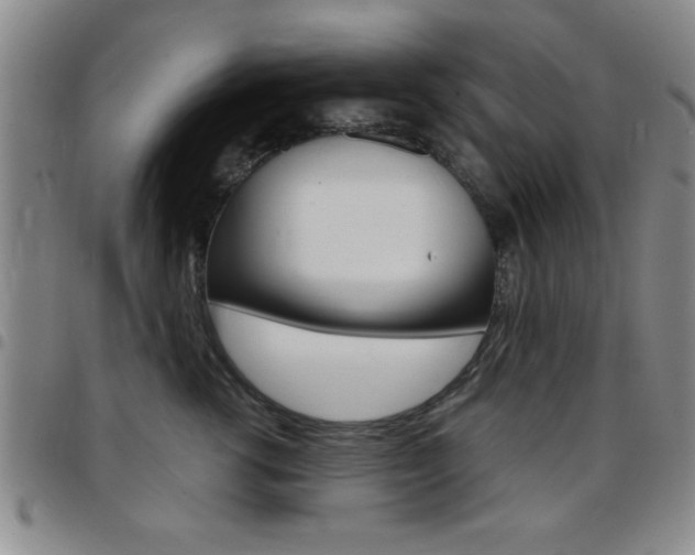 X0000097820762200803140805
