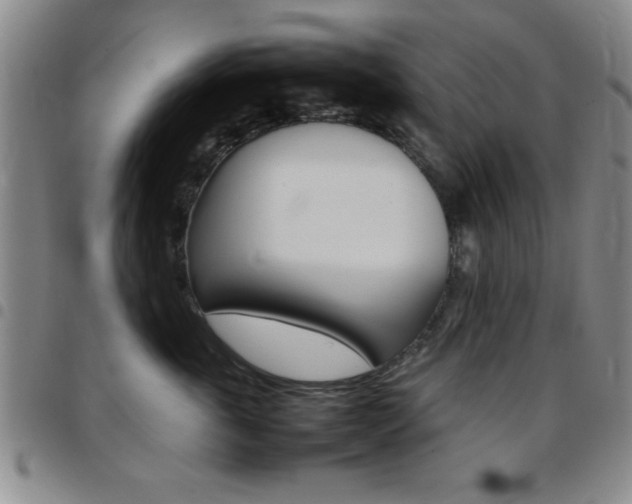 X0000097820763200803140805