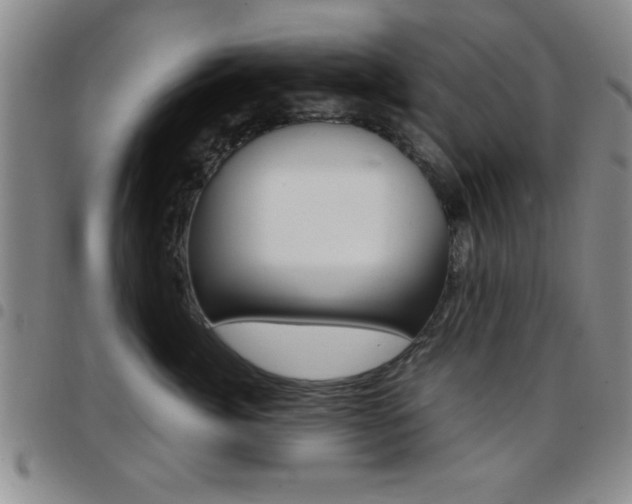 X0000097820764200803140805
