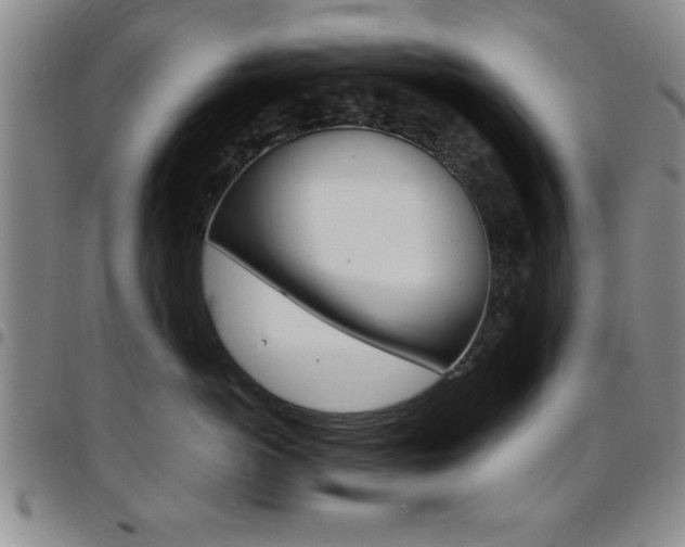 X0000097820766200803140805