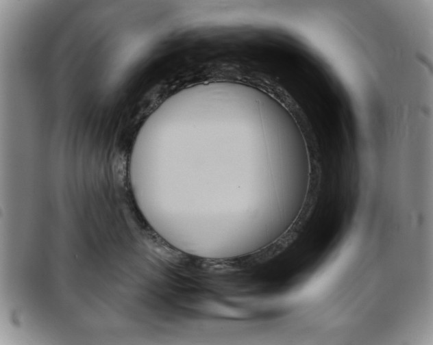 X0000097820767200803140805