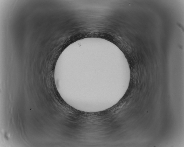 X0000097820769200803140805
