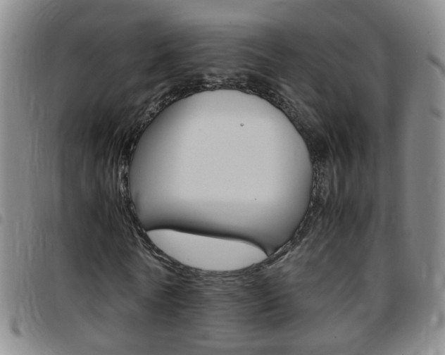 X0000097820770200803140805