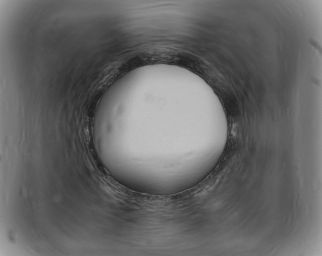 X0000097820771200803140805