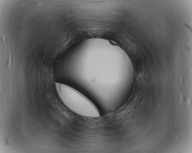 X0000097820772200803140805