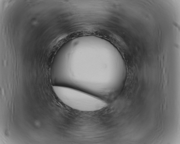 X0000097820773200803140805