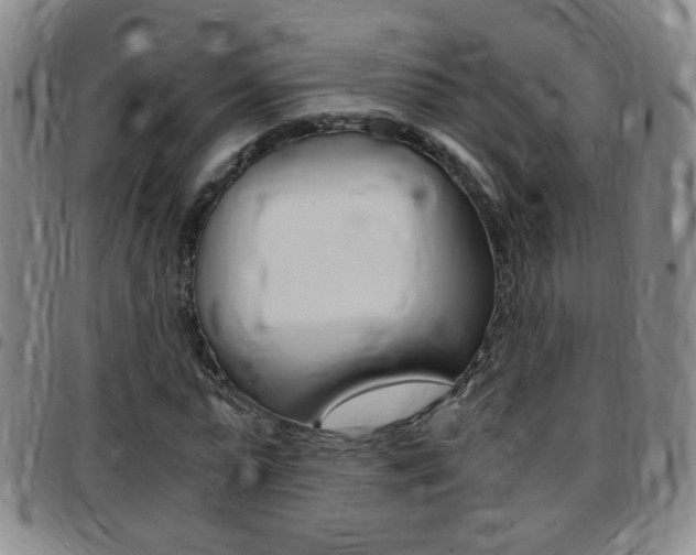 X0000097820775200803140805