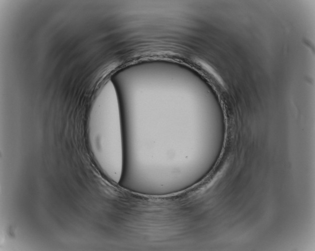 X0000097820777200803140805