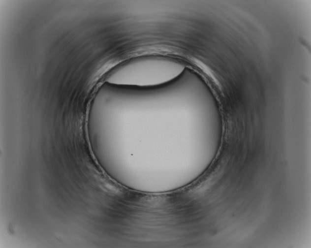X0000097820778200803140805