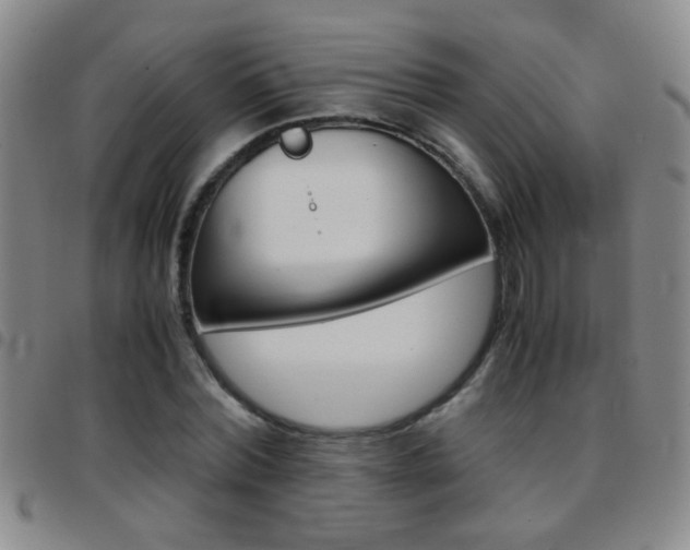 X0000097820780200803140805