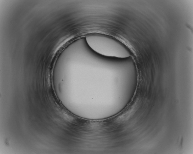 X0000097820782200803140805