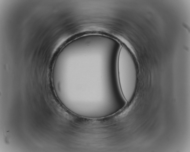 X0000097820783200803140805