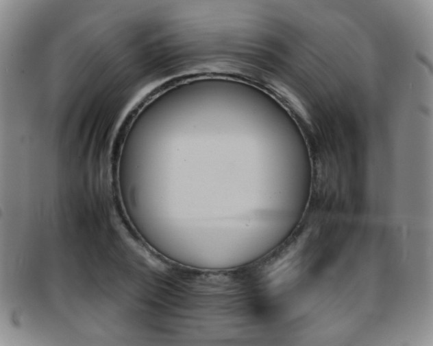 X0000097820784200803140805