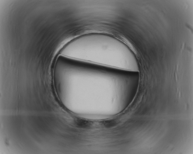 X0000097820787200803140805