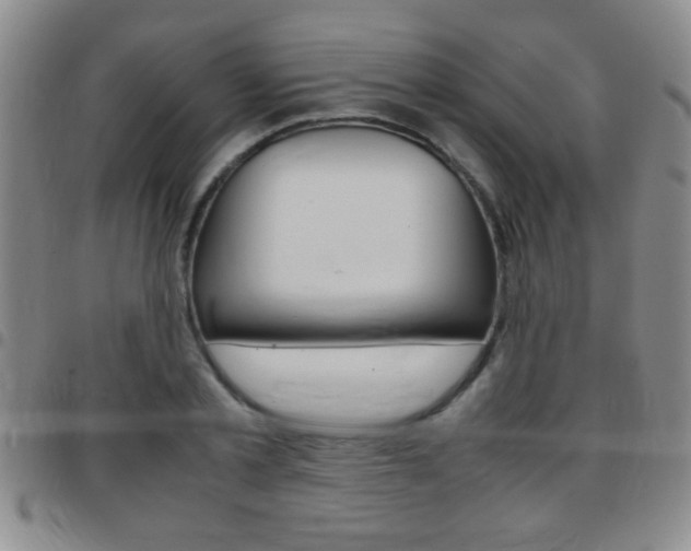 X0000097820789200803140805
