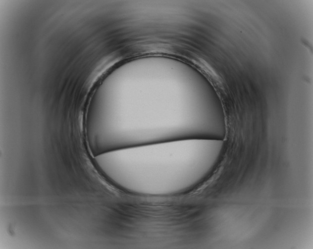 X0000097820790200803140805