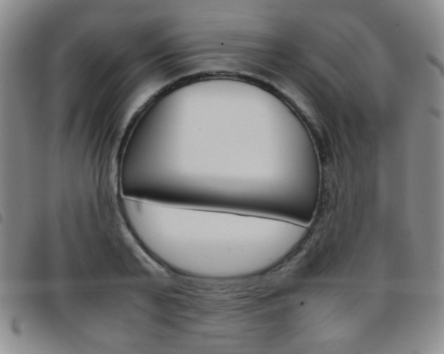 X0000097820791200803140805