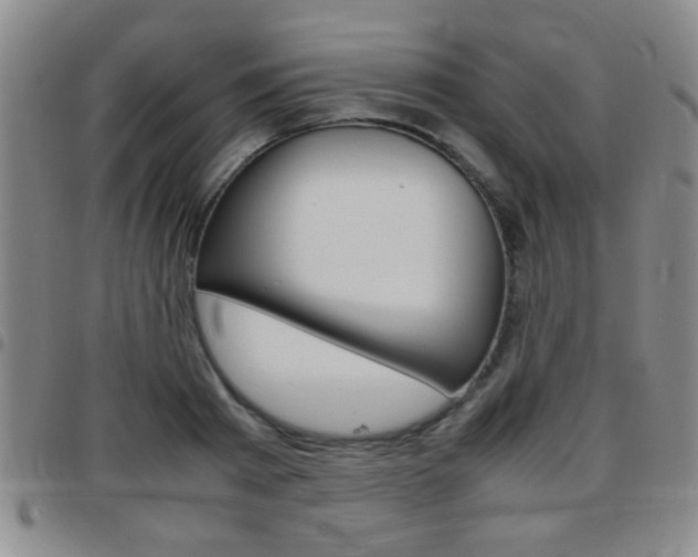 X0000097820793200803140805