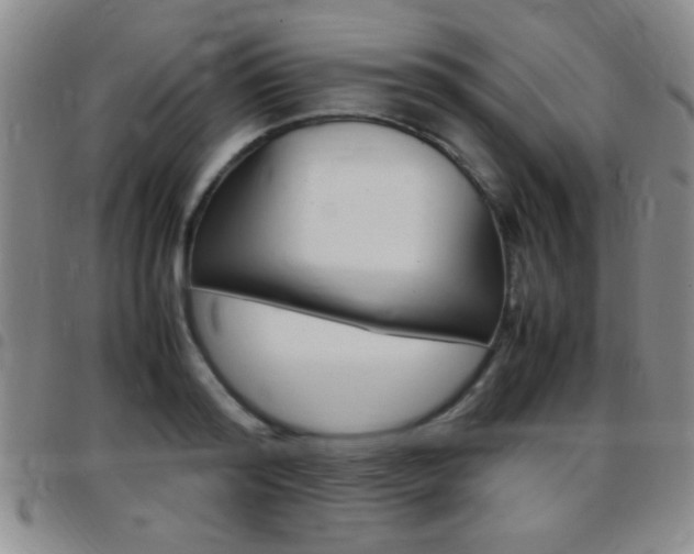 X0000097820796200803140804