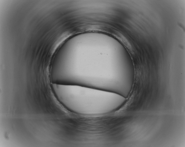 X0000097820798200803140804