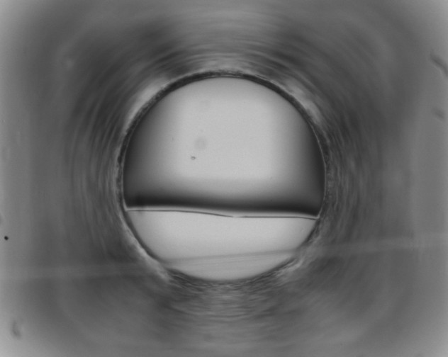 X0000097820799200803140804