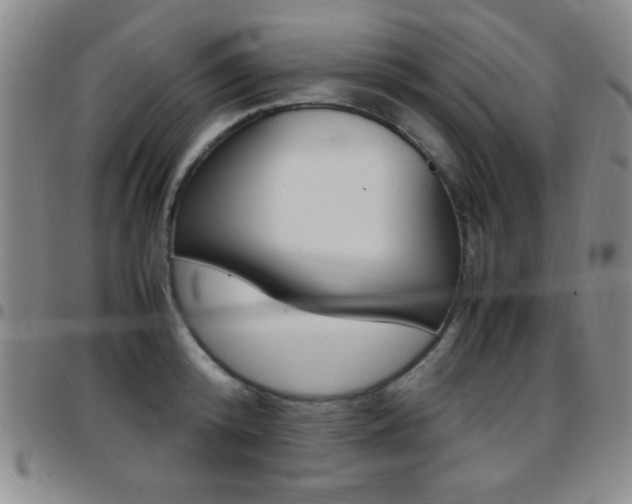 X0000097820800200803140804