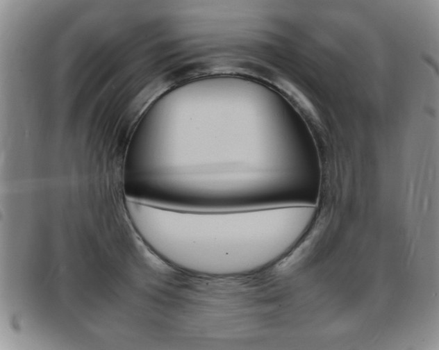 X0000097820801200803140804
