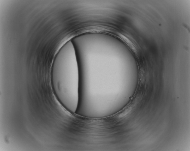 X0000097820802200803140804