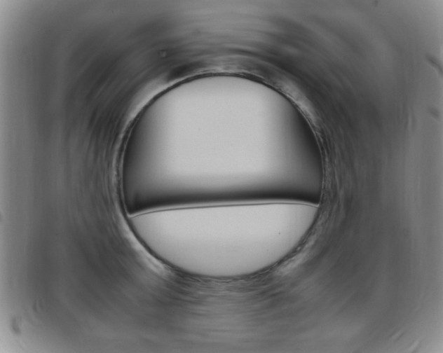 X0000097820803200803140804