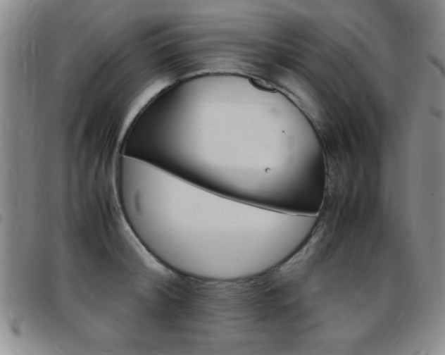 X0000097820804200803140804