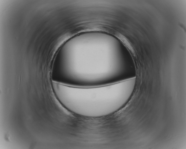X0000097820805200803140804
