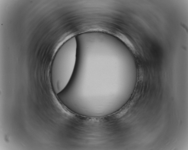 X0000097820806200803140804