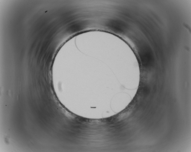X0000097820807200803140804