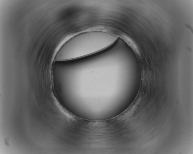 X0000097820808200803140804