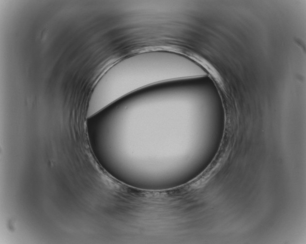 X0000097820809200803140804