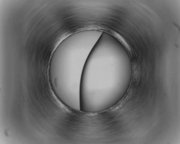 X0000097820810200803140804